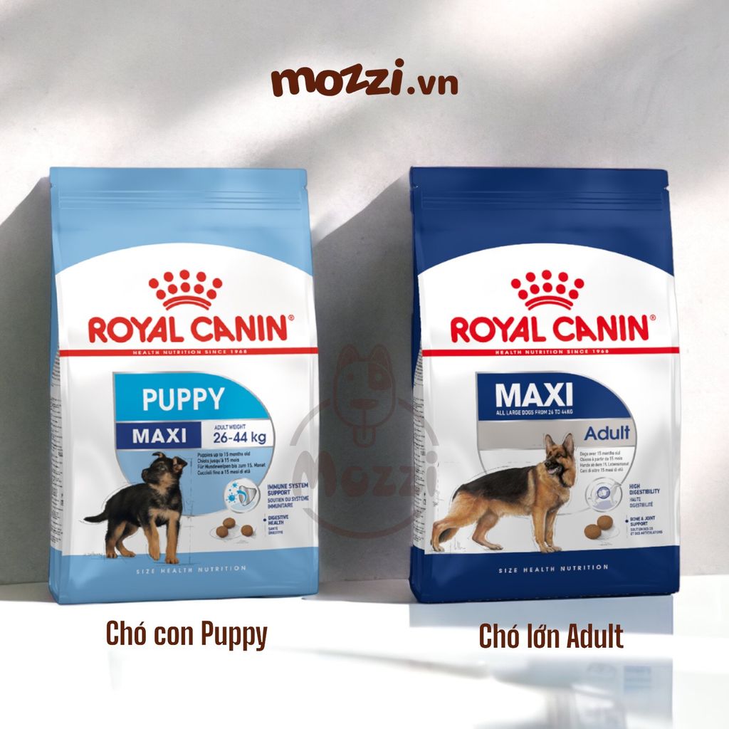 Thức ăn hạt Royal Canin Maxi Puppy Adult cho chó kích thước lớn [1kg - 4kg - 10kg - 16kg]