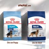  Royal Canin Maxi Puppy Adult Thức ăn hạt cho chó kích thước lớn 