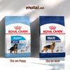 Thức ăn hạt Royal Canin Maxi Puppy Adult cho chó kích thước lớn [1kg - 4kg - 10kg - 16kg]