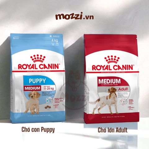 Thức ăn hạt Royal canin Medium Puppy Adult cho chó kích thước trung bình [1kg - 4kg - 10kg - 16kg] 