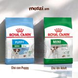 Royal canin Mini Puppy Adult Thức ăn hạt cho chó kích thước nhỏ 