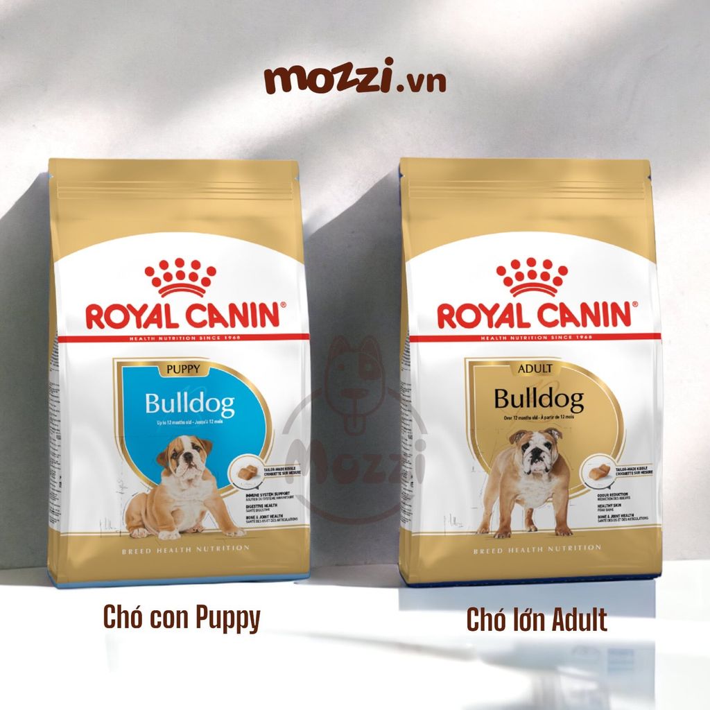 Thức ăn hạt Royal Canin Bulldog Puppy Adult Thức ăn hạt cho chó Bull Pháp [1kg - 3kg]