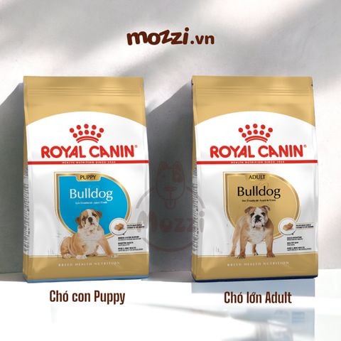 Thức ăn hạt Royal Canin Bulldog Puppy Adult Thức ăn hạt cho chó Bull Pháp [1kg - 3kg]