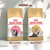  Thức ăn hạt Royal Canin Persian Kitten Adult cho mèo Anh lông dài Ba Tư [400g - 2kg] 
