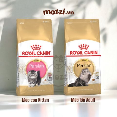 Thức ăn hạt Royal Canin Persian Kitten Adult cho mèo Anh lông dài Ba Tư [400g - 2kg]