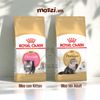 Thức ăn hạt Royal Canin Persian Kitten Adult cho mèo Anh lông dài Ba Tư [400g - 2kg]