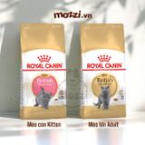  Royal Canin British Shorthair Kitten Adult Thức ăn hạt cho mèo Anh lông ngắn 