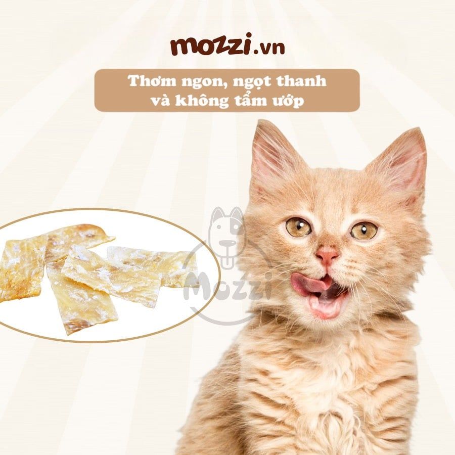 Snack cho mèo Chip Sợi gà cá CattyMan sấy mềm dẻo