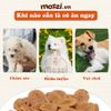 Snack cho chó Thịt gà sấy dẻo Doggyman (thanh gà sợi gà gan gà mề gà)