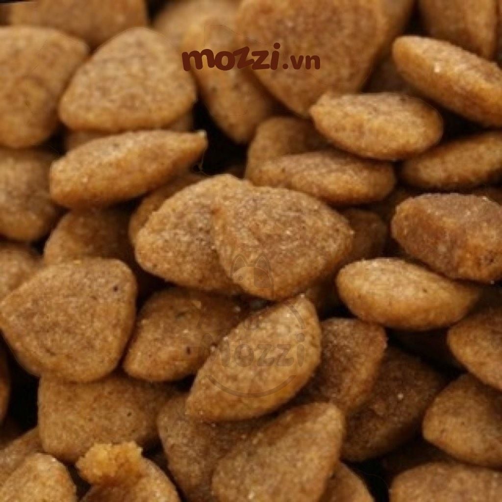 Thức ăn hạt Catsrang cho mèo mọi lứa tuổi [400g - 2kg - 5kg]