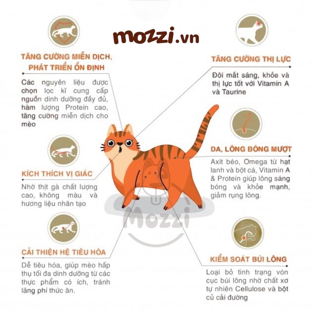 [400g - 1.5kg] Thức ăn hạt Cat's Eye Premium cho mèo