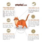  [400g] Thức ăn hạt Cat's Eye Premium cho mèo 