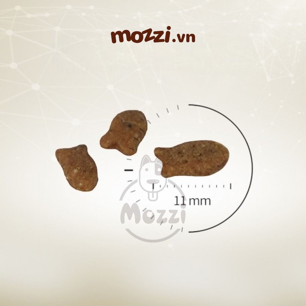 [400g - 1.5kg] Thức ăn hạt Cat's Eye Premium cho mèo