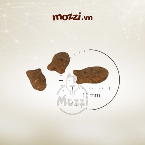  [400g] Thức ăn hạt Cat's Eye Premium cho mèo 