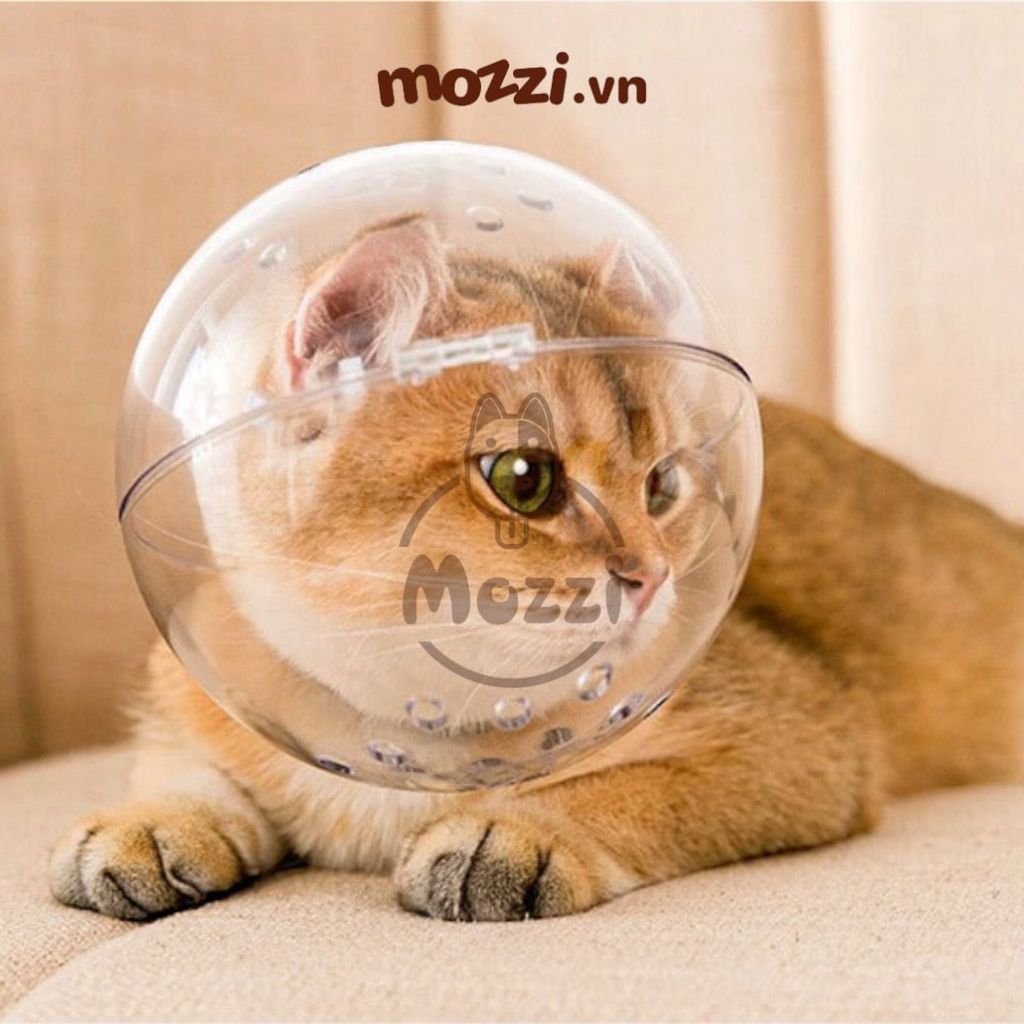 Mũ chống liếm hình cầu cho mèo