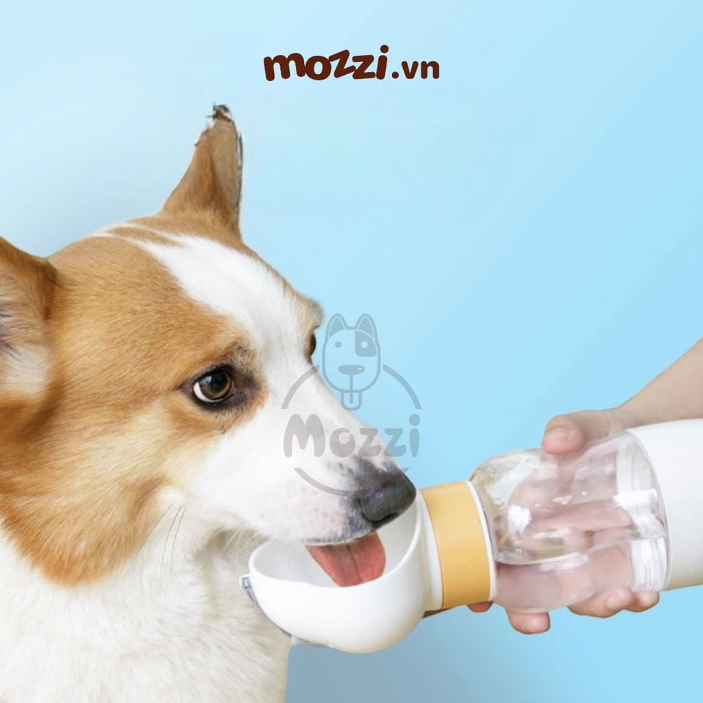 Bình nước du lịch cho chó mèo có kèm cốc đựng hạt tiện lợi 350ml