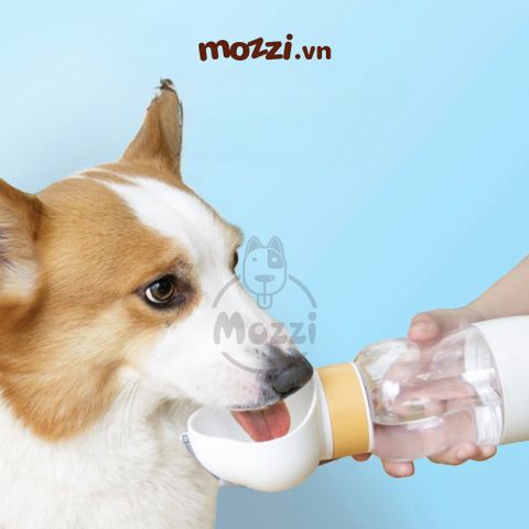  Bình nước du lịch cho chó mèo có kèm cốc đựng hạt tiện lợi 350ml 