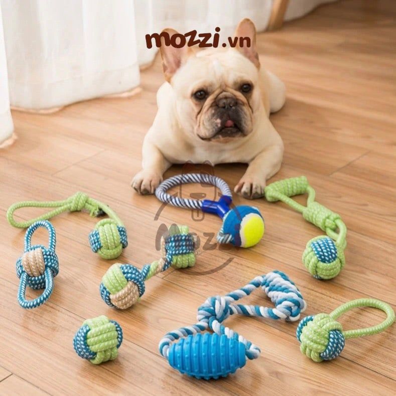 Đồ chơi dây thừng cotton bện màu cho chó