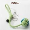 Đồ chơi dây thừng cotton bện màu cho chó