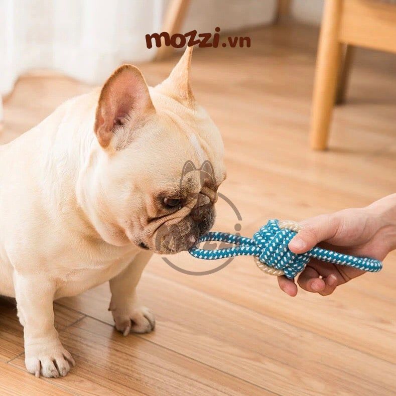 Đồ chơi dây thừng cotton bện màu cho chó