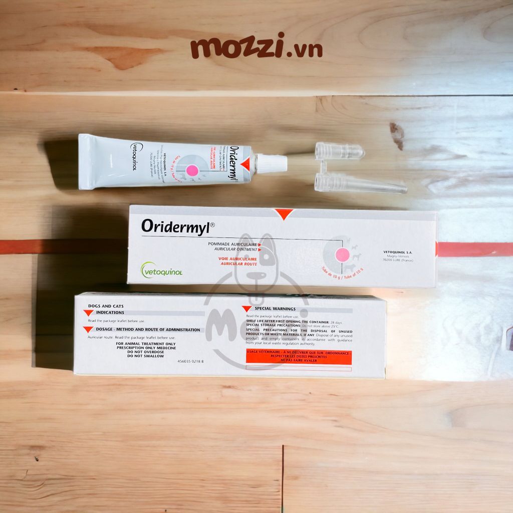 Nhỏ tai Oridermyl viêm rận tai Tuýp 10g cho chó mèo