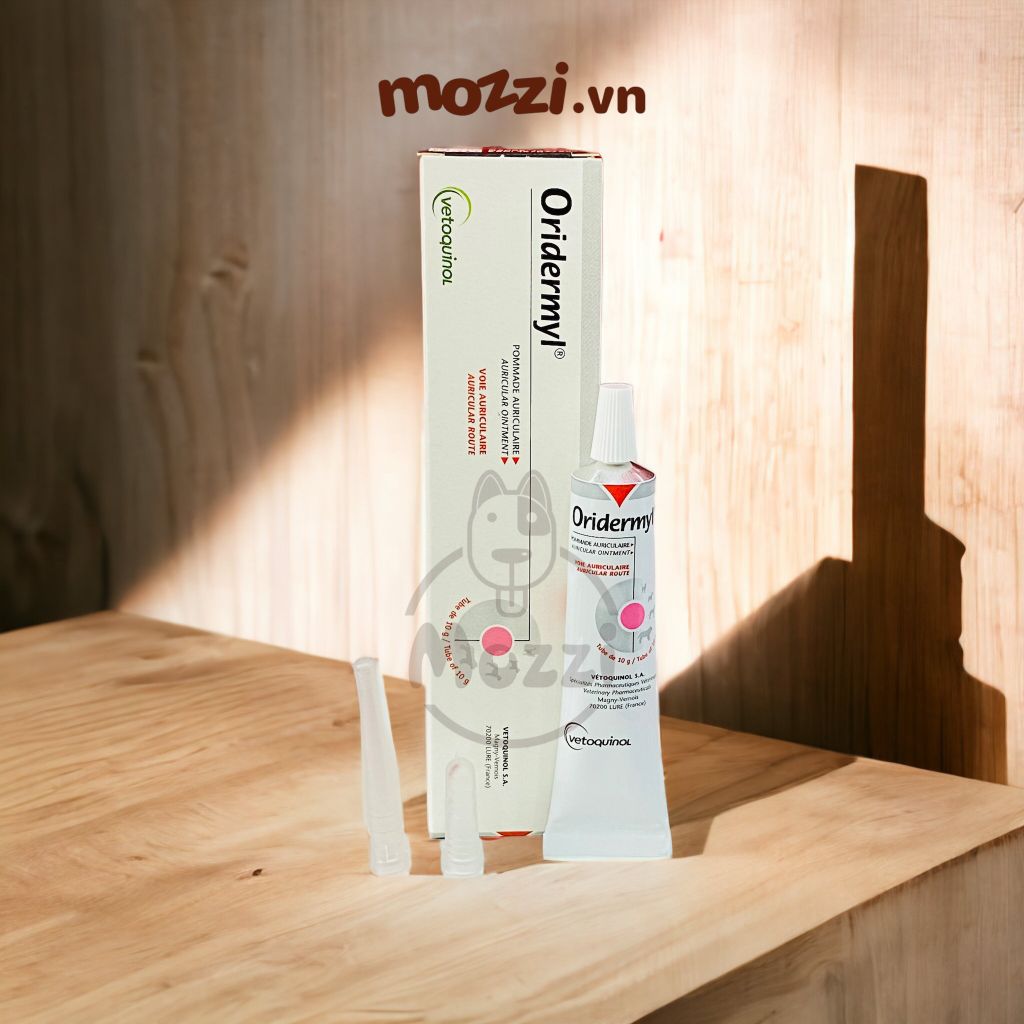 Nhỏ tai Oridermyl viêm rận tai Tuýp 10g cho chó mèo