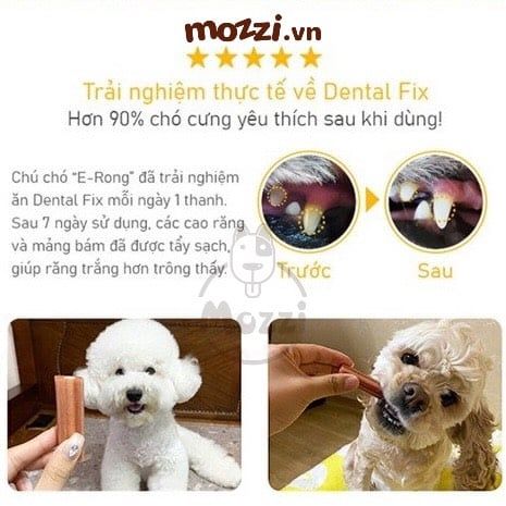 [Lẻ] Dental Fix Snack trắng răng