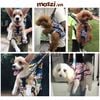 ELFIDOG Địu vải cho chó mèo