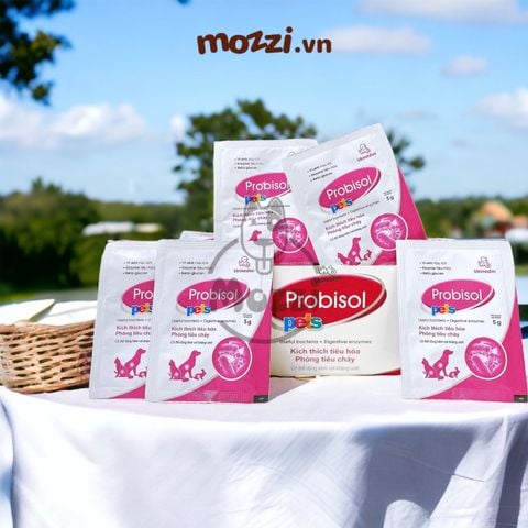  Men tiêu hóa Probisol Vemedim dạng bột cho chó mèo 
