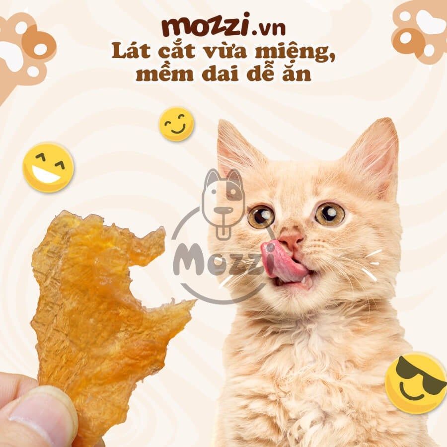 Snack cho mèo Chip Sợi gà cá CattyMan sấy mềm dẻo