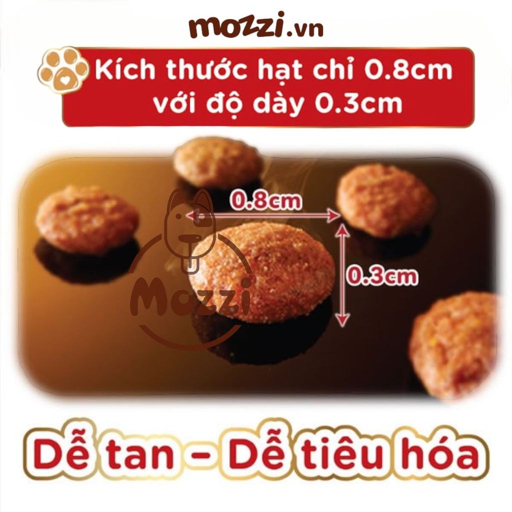 [800g - 1kg] Thức ăn hạt Silver Spoon giảm nôn trớ cho mèo | Nhật Bản