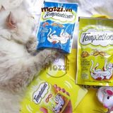  Snack cho mèo Bánh thưởng Temptations gói 30gr 