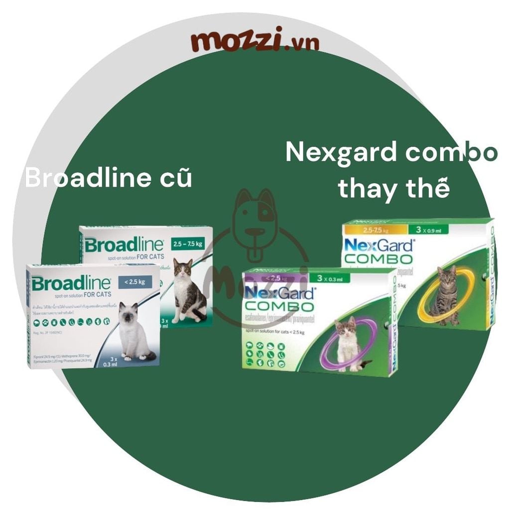 Nhỏ gáy tẩy giun ve rận bọ chét Nexgard Combo thay thế Broadline cho mèo