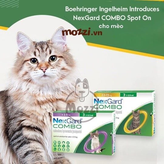 Nhỏ gáy tẩy giun ve rận bọ chét Nexgard Combo thay thế Broadline cho mèo