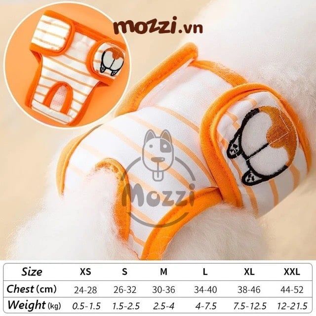 Tã bỉm quần vải dán Hipidog cho chó Cái