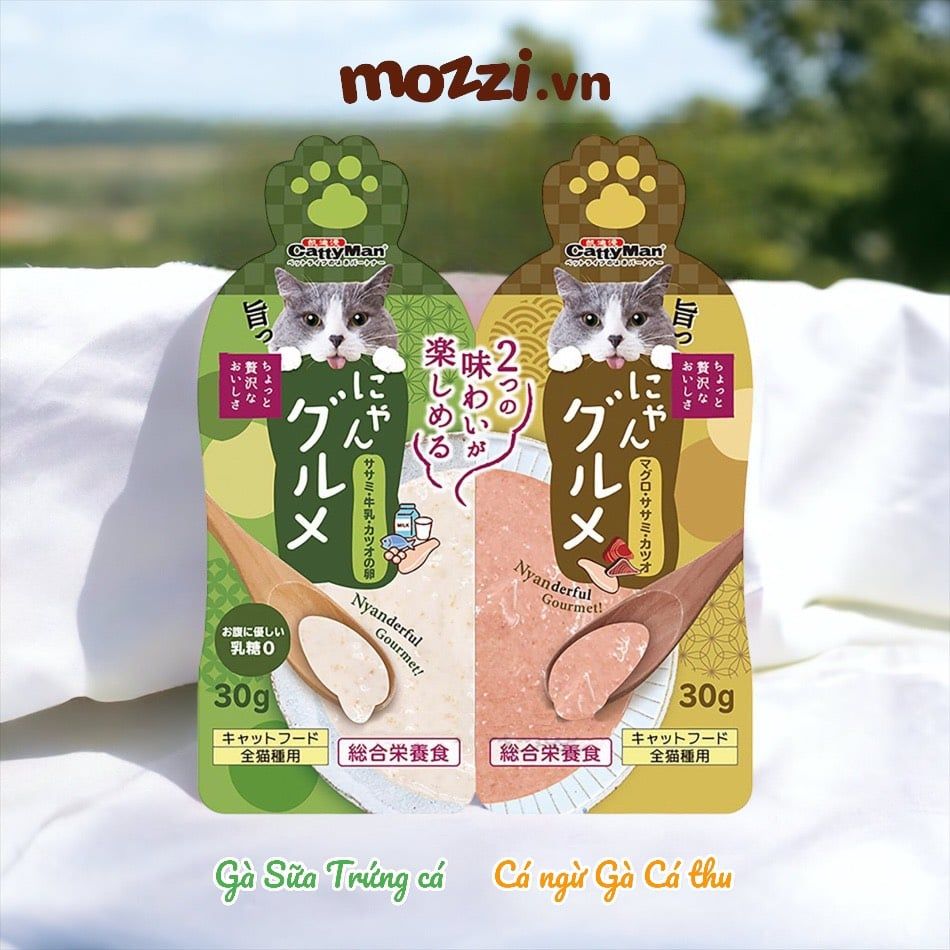 Súp thưởng cho mèo Cattyman mix vị gói 60gr
