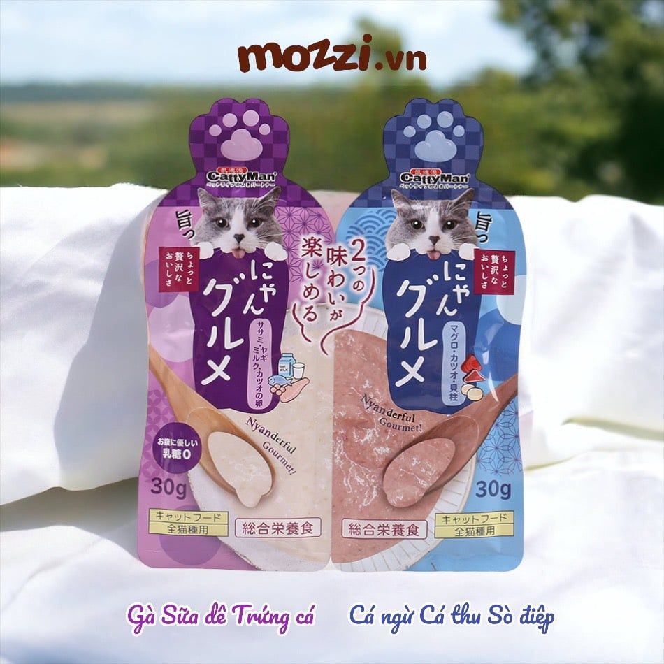 Súp thưởng cho mèo Cattyman mix vị gói 60gr