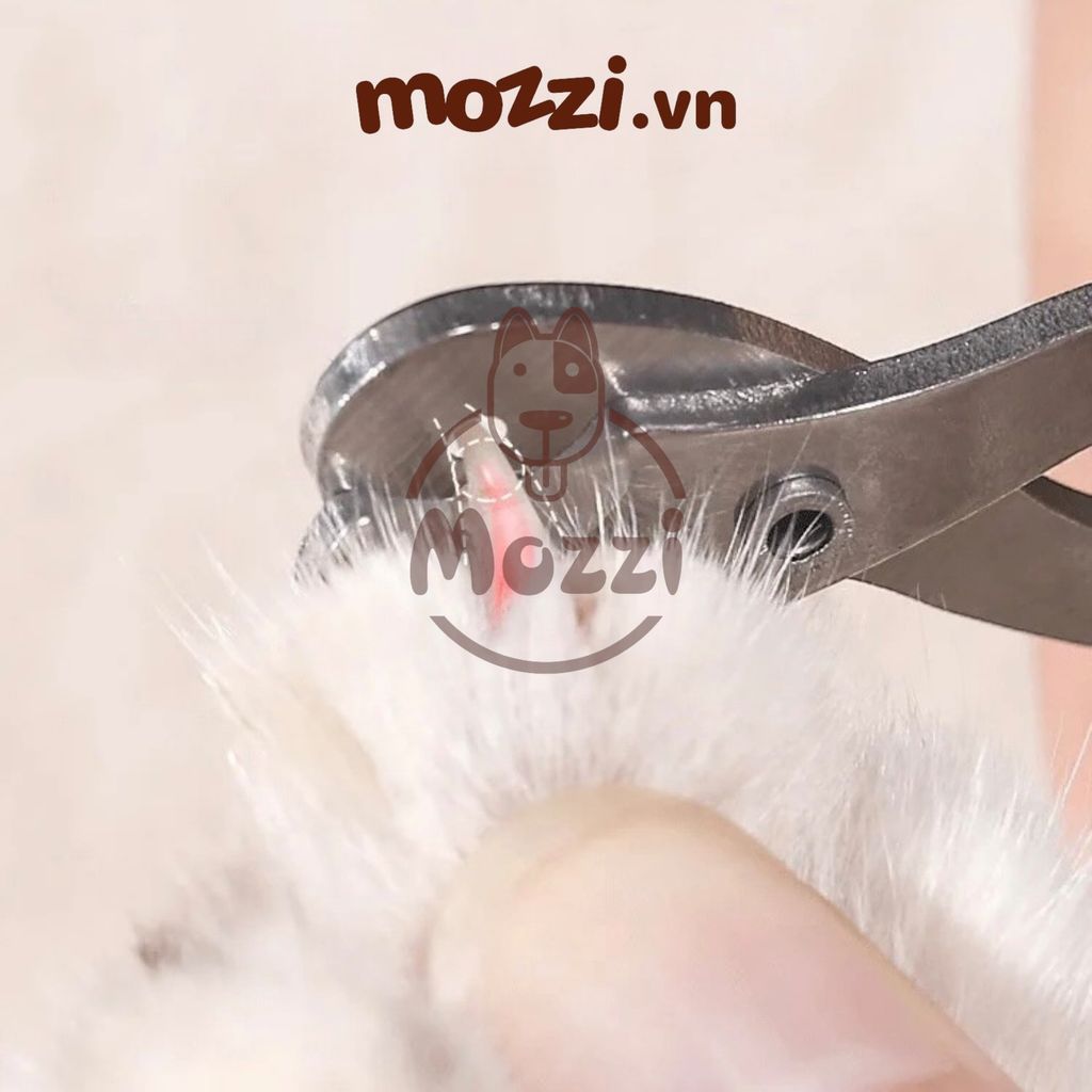 Kéo cắt móng mèo miệng tròn TaoTao