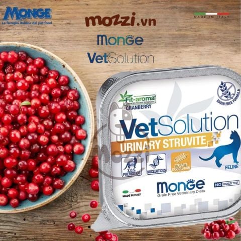  Pate cho mèo Monge Vetsolution Urinary Struvite Ngừa sỏi tiết niệu 