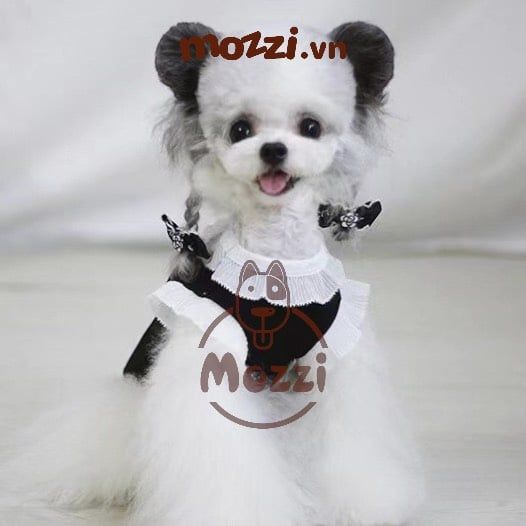 Áo thun Chanel cao cấp