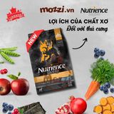  Nutrience Subzero vị gà tây cá biển và rau củ cho chó mèo 