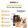 Thức ăn hạt Nutrience Subzero vị gà tây cá biển và rau củ cho chó mèo [0.5kg - 1.8kg - 5kg]