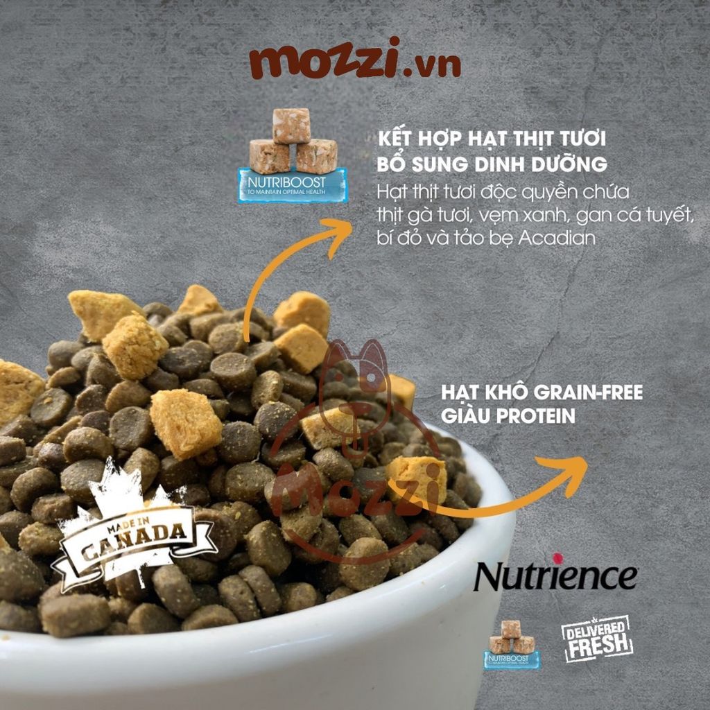 Thức ăn hạt Nutrience Subzero vị gà tây cá biển và rau củ cho chó mèo [0.5kg - 1.8kg - 5kg]
