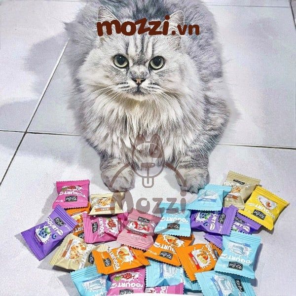 Snack cho mèo Yogurt Yums Sữa chua sấy KitCat gói 10gr
