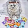 Snack cho mèo Yogurt Yums Sữa chua sấy KitCat gói 10gr
