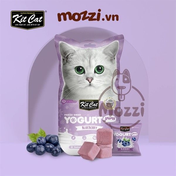 Snack cho mèo Yogurt Yums Sữa chua sấy KitCat gói 10gr