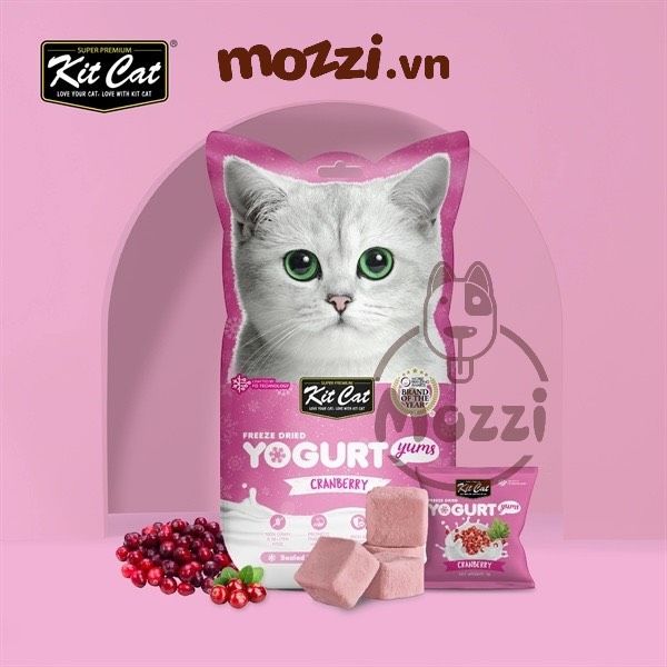 Snack cho mèo Yogurt Yums Sữa chua sấy KitCat gói 10gr
