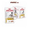 Pate cho chó mèo bệnh thận Urinary S/O Royal Canin gói 85gr