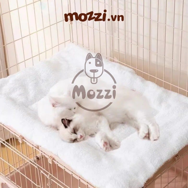 Thảm nệm lót chuồng hình Gấu màu Be