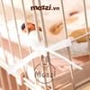 Thảm nệm lót chuồng hình Gấu màu Be